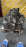 Двигатель Nissan CD20-TE-557419X 4WD Largo W30