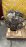 Двигатель Mazda Z6-669845 без кондера 3/Axela BK