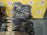 Двигатель Chrysler PT Cruiser EDZ-8T110016 2.4L P05047614AB В СБОРЕ PT24 '2008