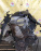 Двигатель Toyota 1NZ-FE-A058130 МЕХ ДРОСЕЛЬ БЕЗ НАВЕСНОГО Funcargo NCP25 '2001-