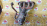 Коллектор выпускной Toyota 2ZR-FXE C-HR ZYX10 с катализатором 17141-37220 / 17141-37221 / 17167-37140