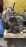 Двигатель Toyota 3S-FSE-7551913 тнвд 23100-74040 Vista Ardeo/Nadia SV50
