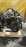 Двигатель Toyota 3S-FSE-7587578 тнвд 23100-74041 Vista Ardeo/Nadia SV50