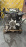 Двигатель Isuzu 4JX1-670755 Wizard/Bighorn UES73