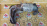 Коллектор выпускной Toyota 2AZ-FE Alphard ANH10/ANH15 '05.2002-07.2003 с катализатором 25051-28170