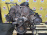 Двигатель Dodge Ram Magnum 318/ELF-7M31803063098 5.2L V8 В сборе Япония BR '1997