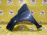 Крыло Hyundai i20 PB/PBT '2013 перед, лев серое, вмятины 663111J550 (Серый)