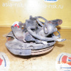 Ступица Nissan N15/B14/R11 Pulsar/Sunny/Presea перед, прав 2WD ABS. В сборе с диском и суппортом. 40014-0M000.40014-0M005.40202-0M000.40202-0M010.40206-0M601.