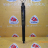 Амортизатор NISSAN YD21 R TEMS