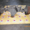 Мост TOYOTA 41/8 Dyna XZU304 в сборе 5шп. ABS.Барабанные тормоза.  Узкая база