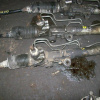 Рулевая рейка Toyota KZJ95/KDJ95/RZJ95/VZJ95LJ95 Land Cruiser Prado RHD