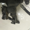 Суппорт Mazda CP8W/CPEW/GW8W/GW5R/GWER/ '2002 зад, лев GEZC2699ZA 2WD Premacy/Capella