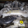 Двигатель SUZUKI H27A-195390 Grand Vitara TD94W/JB627W '2006