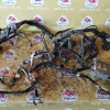 Коса ДВС Toyota 4S-FE SV40 m/t без привода., кат. + комп.89661-32880