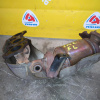 Коллектор выпускной Toyota 1MZ-FE Alphard MNH15 с катализатором 18460-20020 перед, лев 17142-20041