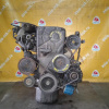 Двигатель Hyundai Accent G4FK-X709334 Alpha 1.5 16V Dohc X3/J2/RD '1999