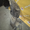 Подкрылок TOYOTA Camry Gracia/Mark II Wagon Qualis SXV20/MCV20 перед, прав дефект 53875-33070