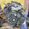 Двигатель Toyota 2AZFE-A342283 2WD/4WD БЕЗ НАВЕСНОГО Camry ACV30