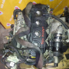 Двигатель Nissan YD25-DDTI-216128T 174 Л/С   БЕЗ КОНДЕРА Navara/Pathfinder D40