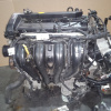Двигатель Ford Focus 2 AODA-8A57418 Duratec He 2.0 PFI (145PS) 4AT CAP '2008