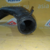 Патрубок радиатора Hyundai 254152H100 i30 FD/JD G4GC '2007- н F 2.0L нижний 2501
