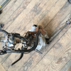 Колонка рулевая Nissan Dualis J10 +замок зажигания 48810-JD000