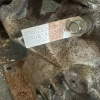 АКПП Nissan VQ37 RE7R01A 4WD 7 ступ. 31020-X180E Fuga Y51