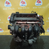 Двигатель Ford Focus 2 QQDA-4D17173 1.8L Duratec He (125PS) MT БЕЗ НАВЕСНОГО CAP '2004