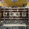 Двигатель Ford Focus 2 QQDB-8B78952 1.8L Duratec He (125PS) MT БЕЗ НАВЕСНОГО CAP '2008