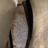 Двигатель Volvo XC70 B5244T3/B5244T-2439546 2.4L Turbo БЕЗ ДРОССЕЛЯ 1282307 SZ '2000