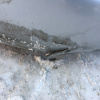 Ноускат Toyota Vitz SCP10 '1999-2001 a/t дефект бампера ф.52-001