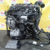Двигатель Volkswagen Polo CZP-215284 EA888 gen3 2.0L TSI AW1 '2019