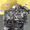 Двигатель Volkswagen T-Roc CZP-330272 EA888 gen3 2.0L TSI A1 '2023