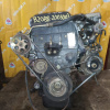 Двигатель Honda B20B8-2005003 БЕЗ ТРАМБЛЕРА И КОНДЕРА CR-V RD1 '1997-