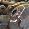 АКПП MITSUBISHI 4G63 W4A321LMQ (3545) MD974070 4WD с креплением подушки ДЕФЕКТ ЗАДНЕЙ КРЫШКИ
