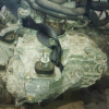 АКПП Nissan QR25 RE0F10A  31020-1XF8C 1XT6C 4WD CVT ПАРОБЕГ 37т.км JAPAN Teana/Murano TNJ32/TNZ51