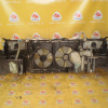 Ноускат Honda Odyssey RA3 '1997-1999 a/t (без габаритов) Без L туманки ф.033-6683 тум.010-6884