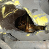 Двигатель Ford Explorer 3 Cologne V6/XS-3ZB37046 4.0L Мех.дросс. В СБОРЕ U152/UN152 '2003