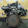 Двигатель Volvo XC70 B5244T3/B5244T-2699963 2.4L Turbo 1236845 SZ '2001