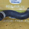 Патрубок  радиатора Nissan 215016M000 Sunny/AD/Primera B15/WPY11/P12 SR16-VE/SR20-VE в