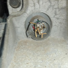 АКПП Volvo S80 B6284T/B6294T 2WD GM 4T65EV P9480742, 8251399 TS/XY