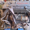 Двигатель Toyota 1ZZ-1137499 без охлаждения Vista Ardeo ZZV50-0045680