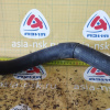 Патрубок  радиатора Mazda WL0115183 Bongo Friendee SGLR WL-TE R F верх