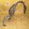 Подкрылок HONDA Stepwgn RF4 '2003 перед, прав Дефект 74101-S7S