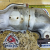 Катализатор Subaru Levorg VM4 FB16 ТУРБО ( FCA95 ) 44612AA891