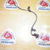 Датчик ABS Honda Avancier TA1/TA2/TA3/TA4 зад, прав Резаный.