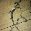 Коса ДВС Toyota 2NZ Vitz NCP10 2WD a/t U441E + компьютер 89661-52041