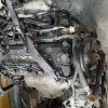 Двигатель Honda F23A-2241215 БЕЗ ТРАМБЛЕРА  КОНДЕРА И ГЕНЕРАТОРА Odyssey RA6-1032649