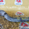 Патрубок  радиатора Toyota 16571-74280 Carina ED ST200 3S-FE/4S-FE L в F