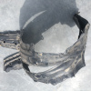Подкрылок NISSAN Primera WHNP11 перед, лев 63843-2J500